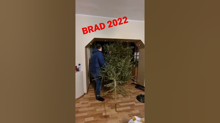 Brad pe geam 2022 😀