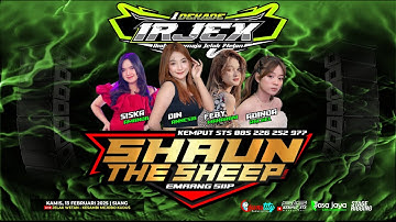 LIVE SHAUN THE SHEEP - HAPPY PARTY 1 DEKADE IRJEX - KESAMBI MEJOBO KUDUS | COUNSTITY AUDIO
