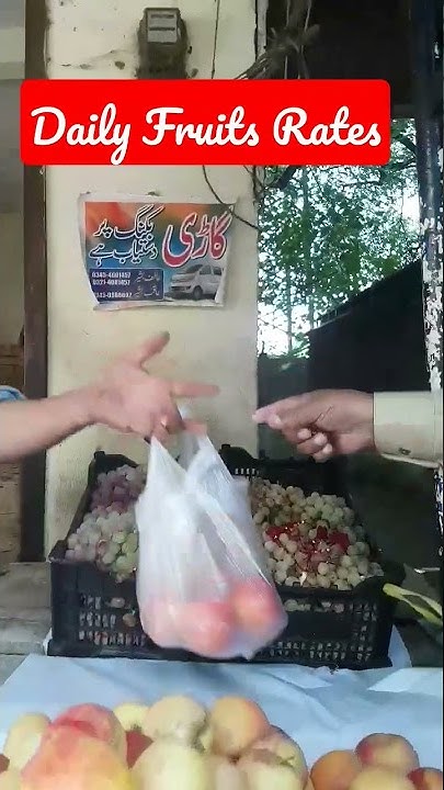 daily-fruits-rates-youtube