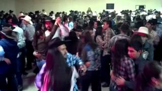 LOS CORCELES DE TIJUANA (MARILY)