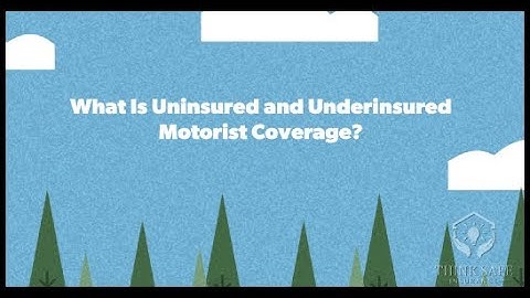 Why Uninsured Motorist Coverage Matters | Florida Auto Insurance Guide & Get a Quote!