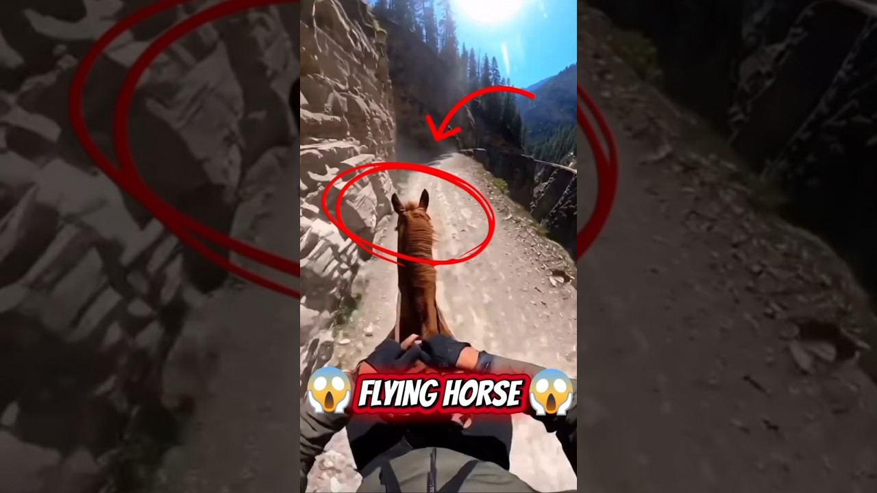 “A Horse That Can Fly?! 🤯” 