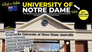 University of Notre Dame Australia #studyabroad  #overseaseducation  #studyinaustralia by Study Abroad Updates 1,818 views 4 weeks ago 3 minutes, 4 seconds