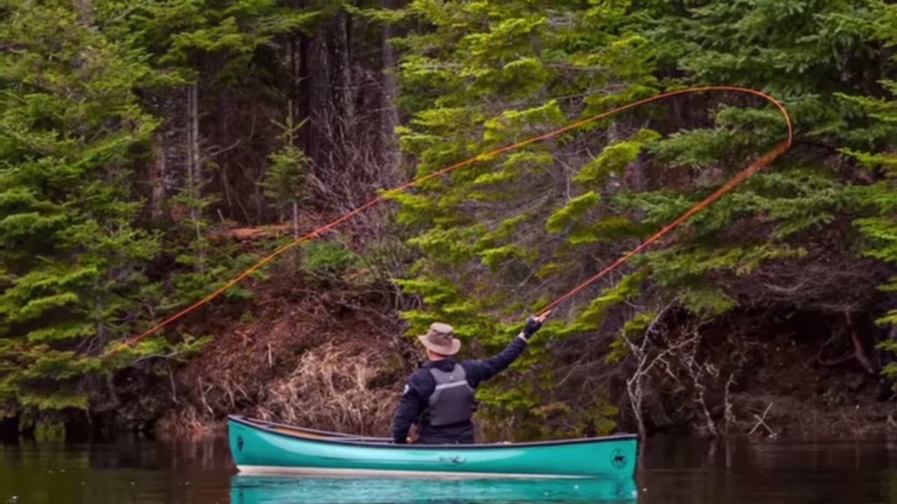 Fishing the Oxtongue River in Algonquin Park YouTube