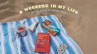 a weekend of intern life in amsterdam travelling to a beach + ups and downs of living alone