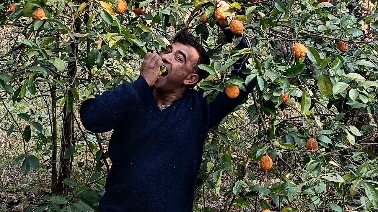 PramodSavita  ki live me apka swagat hai