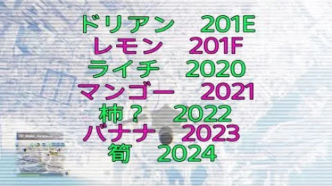 生息地 谷 合理化 とび 森 アイテム Id Yoheyokamoto Jp 生息地 谷 合理化 とび 森 アイテム Id Yoheyokamoto Jp