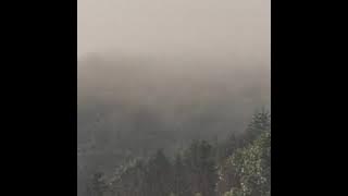 Time4Rhyme ( Mac&RIP )- love me like I’m dead   Prod:thundrabeats