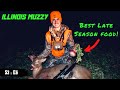 HUGE BUCK CHASING DOES- &quot;Late Season Food&quot; S3:EP6