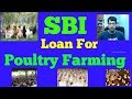 How to Get Poultry Loan from SBI | एसबीआई से पोल्ट्री लोन कैसे प्राप्त करें