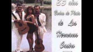 Video thumbnail of "HNOS CASTRO pruebas de cariño"