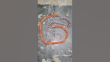 Asmr | Domino Effect Taking Over The Internet #395