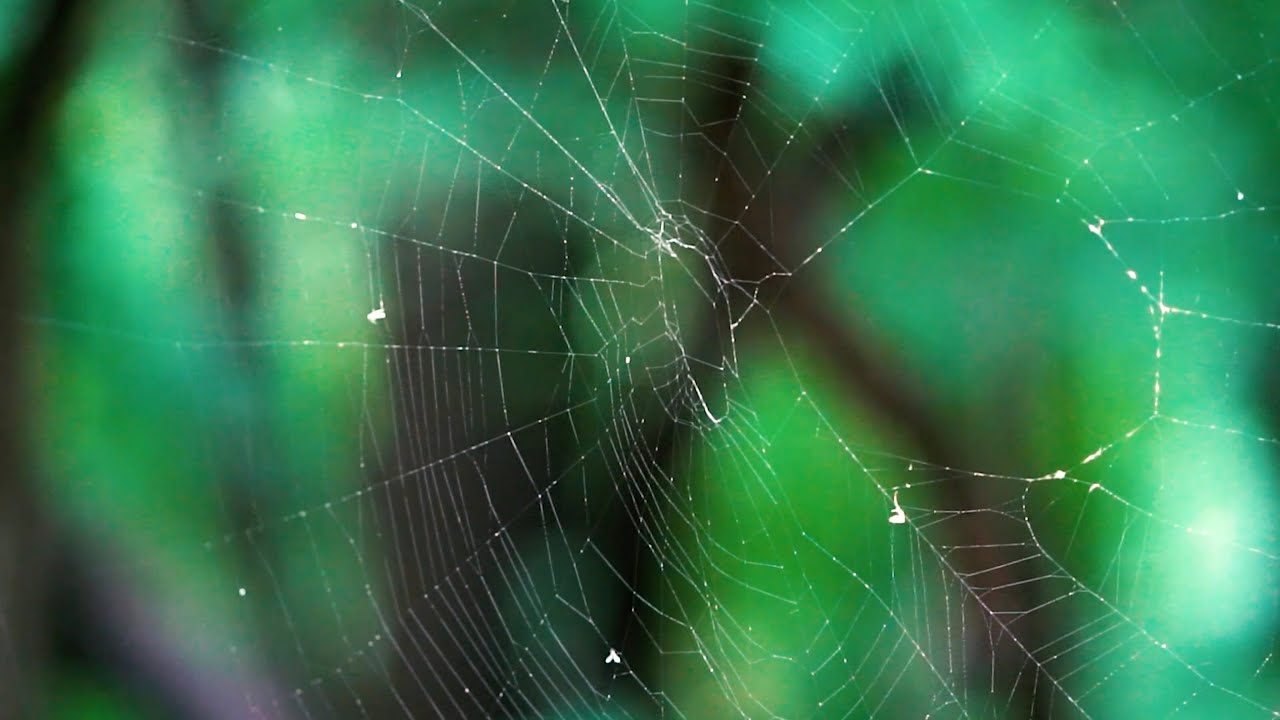 Lost Lands Music Festival (Official Teaser) 2018