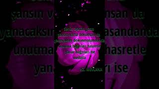 Farıs Bave Firas Lı Mîn Tovbe Be Evini (2)