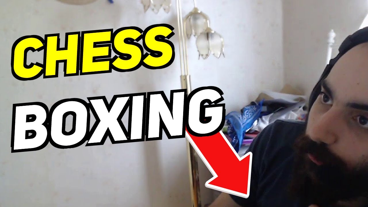 Daily Chess Stream Highlights CHESS BOXING YouTube