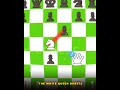 Black's Defense DESTROYED in 8 Moves! ♟️🔥 | Chess Opening
