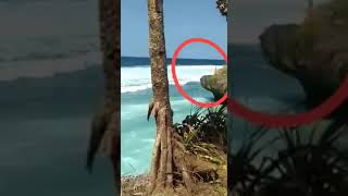 44 Foto Penampakan Nyi Roro Kidul Bersama Kapolres Banyuwangi Terbaik