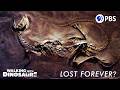 Dinosaur Discovery and Challenges