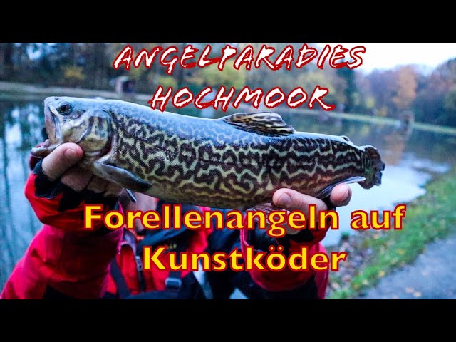Angelparadies Hochmoor lecker Essen? und Forellenangeln? - YouTube