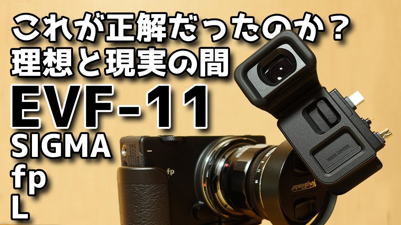 SIGMA fp L 動画と写真のレビューEVF-11の使用感 Shot on SIGMA fp