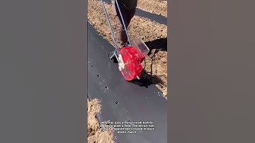 A Smart Tool for Planting Seeds in a Field