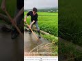 Clearing Roadside Weeds with a Shovel – A Little Effort, Big Difference 🧹🛣️