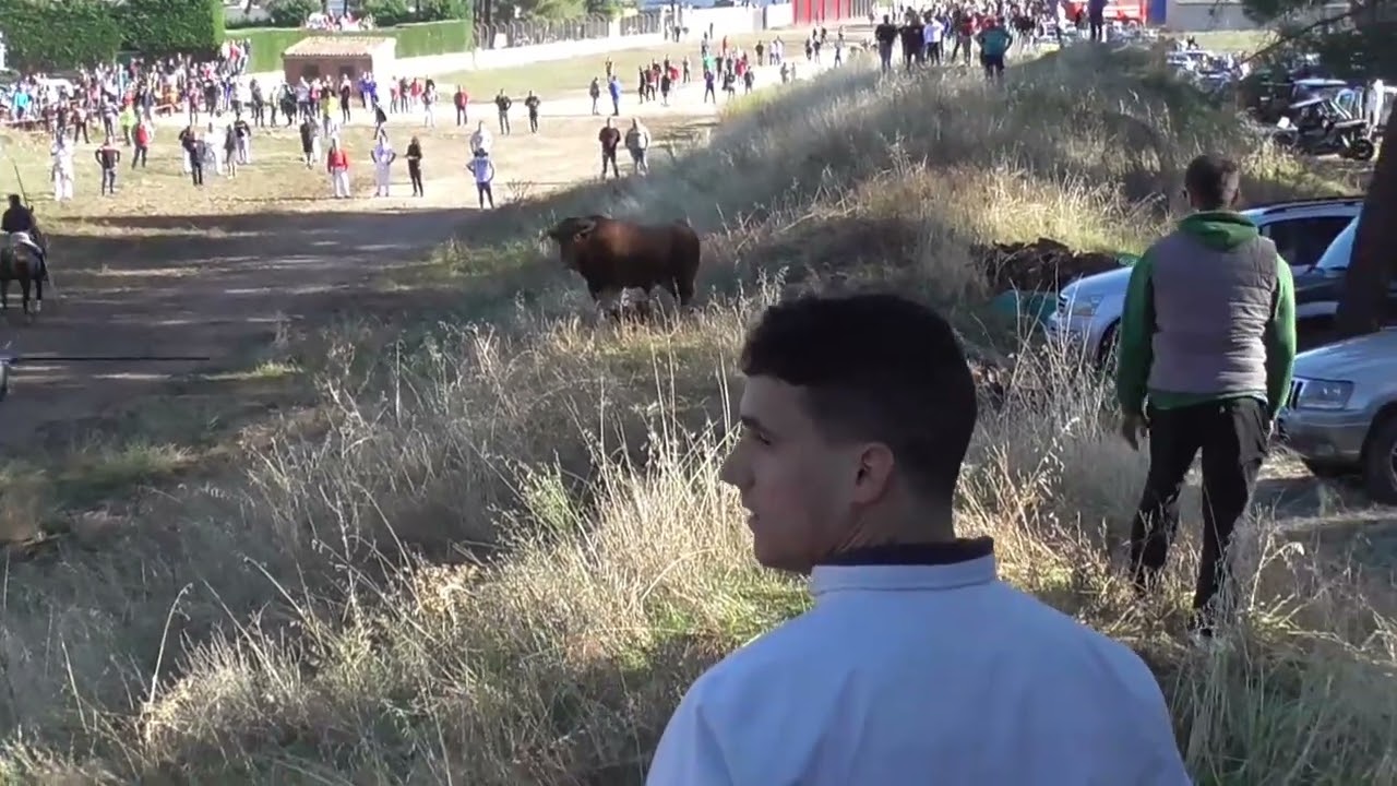 NAVA DE LA ASUNCION(SEGOVIA)  ENCIERRO POR EL CAMPO Y CAPEA 23- 9- 2023