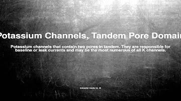 Medical vocabulary: What does Potassium Channels, Tandem Pore Domain mean