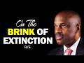 On the brink of extinction // Randy Skeete