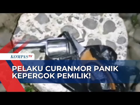 Video: Apa itu rakitan panik?