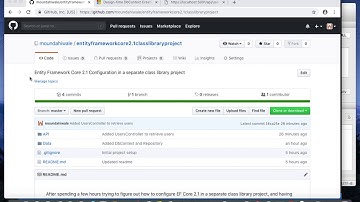 Entity Framework Core 2.1 Class Library Project - EF Core 2.1