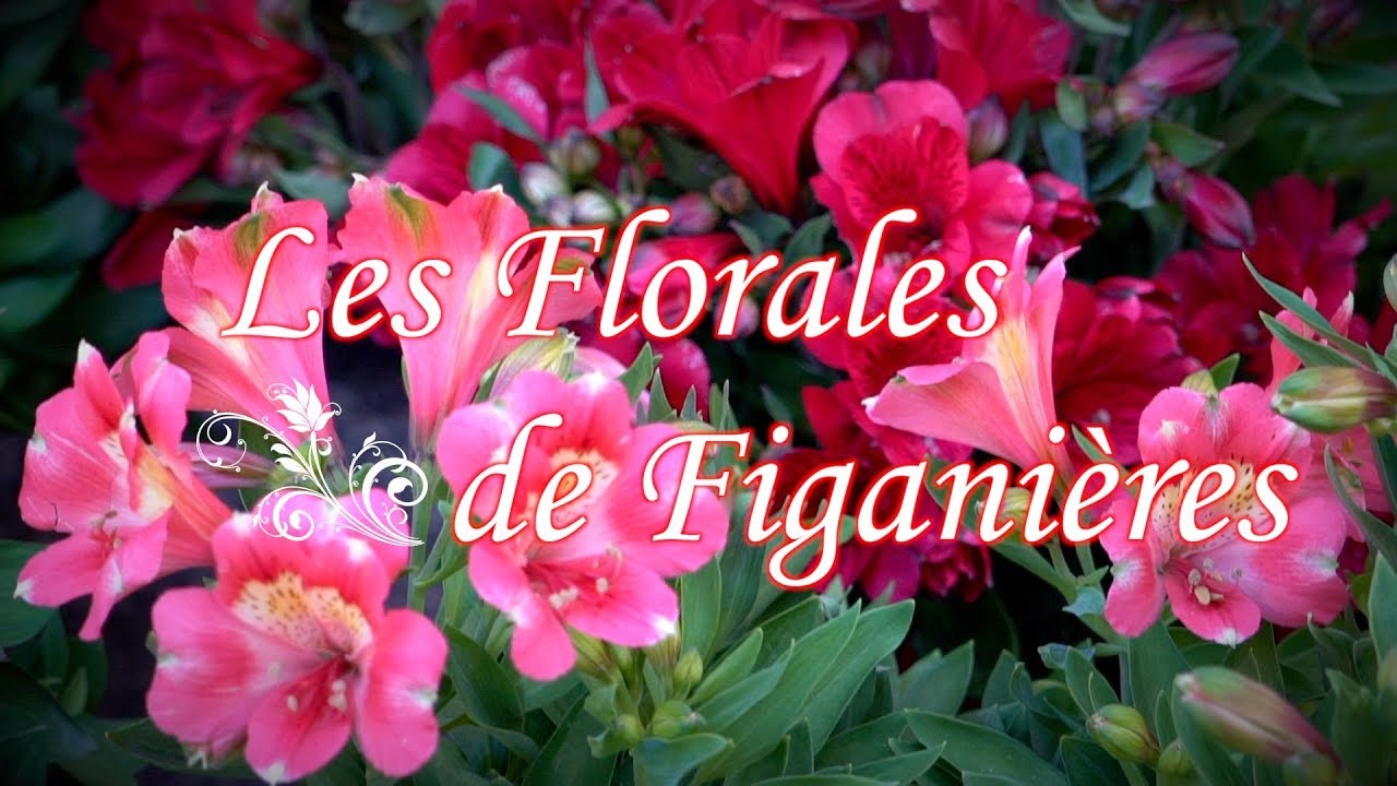 Les Florales de Figanières - YouTube