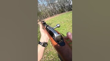 Speed loading/firing the Mosin Nagant