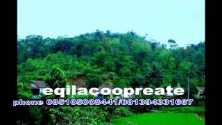 Kacapi suling,kecapi Suling - seni sunda, bandung -eqilacooperate`