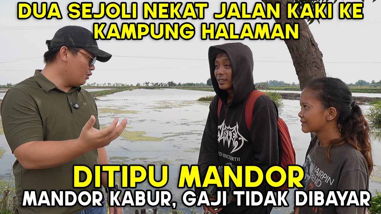 DITIPU MANDOR, DUA SEJOLI LEBIH MILIH JALAN KAKI 4 HARI 4 MALAM KE KAMPUNG HALAMAN !!