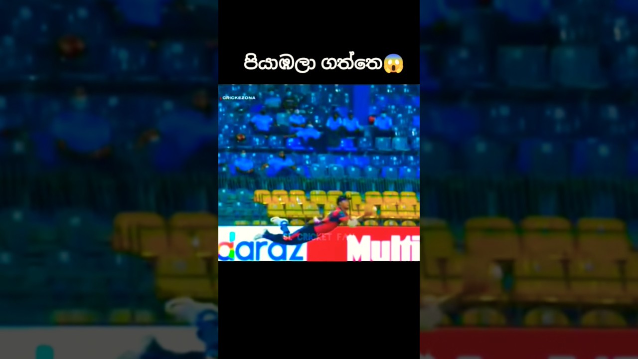 නුවනිදුගෙ fielding😌