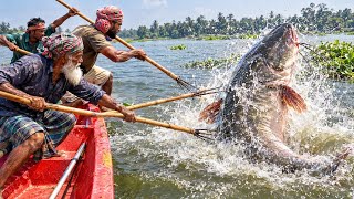 Fishermen vs. a Giant 300 KG Catfish! 😱 The Ultimate River Battle!”