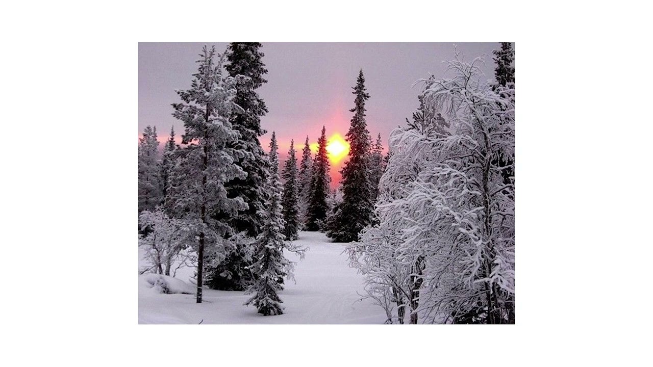 Winter adlı videoyu YouTube'da izle Winter adlı videoyu YouTube'da izle