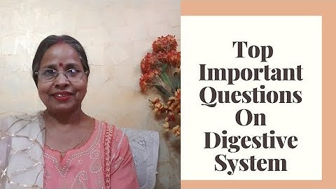 Important Questions on Digestive System for TGT, PGT, UG, PG, NET, SET & Other Comp Exams: Part 3