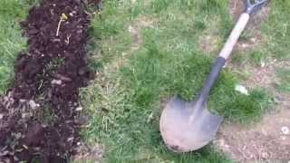 Lost In Paradise : Turn Over  Full Movie