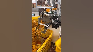 Automatic persimmon peeling machine  #engplatform