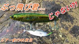 某ぶっ飛び君によく似たコイツで釣ってみた　ルアー釣行45投目