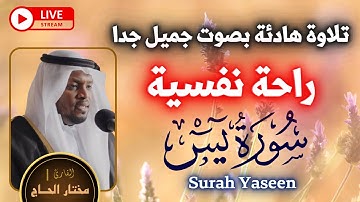 سورة يس القارئ مختار الحاج Surah Yasin