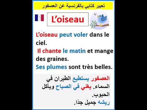 Written Expression In French About The Bird L Oiseau Apprendrelefrançais Français