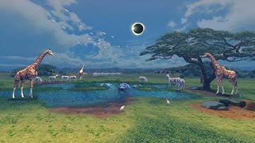 Solar Eclipse, Africa | Super Street Fighter IV