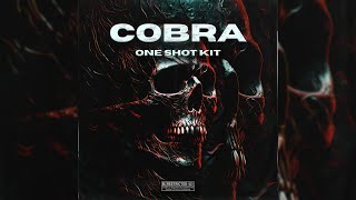 (100+) FREE DRILL/TRAP ONE SHOT KIT 2023 ( Ethnic, Flutes, Vocals, Orchestral, Choirs + more )