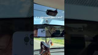 Обожнює лежати на підлозі, а тут вирішила подивитись у віконце🥰😍 #shorts #cute #dogs #dogshort