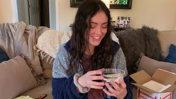 Snake Unboxing - Carpet Python from SBK Reptiles