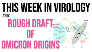 TWiV 861: Rough draft of Omicron origins