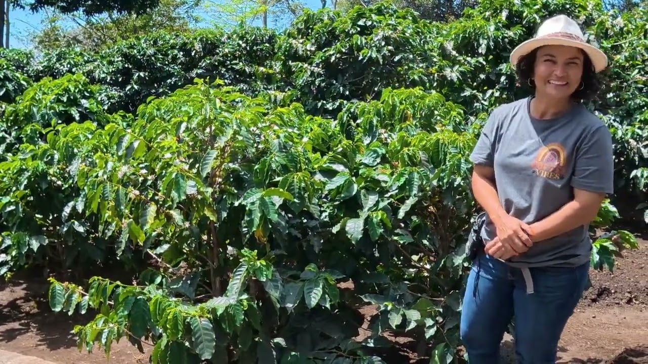 중미여행 13일차, 코스타리카 포아스 화산가서 인생커피 맛보기